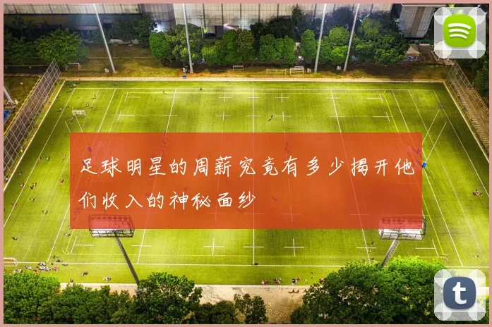 足球明星的周薪究竟有多少揭开他们收入的神秘面纱