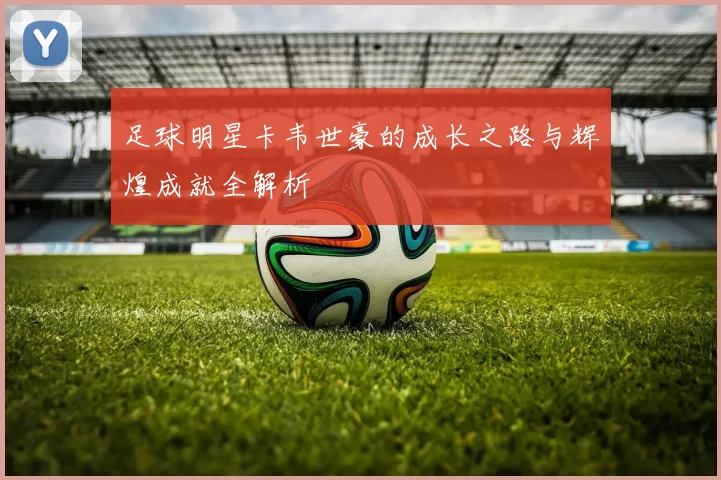 足球明星卡韦世豪的成长之路与辉煌成就全解析
