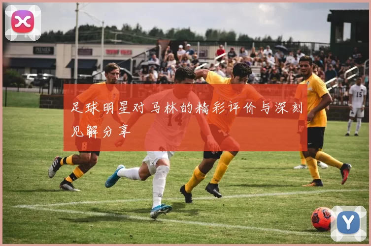 足球明星对马林的精彩评价与深刻见解分享