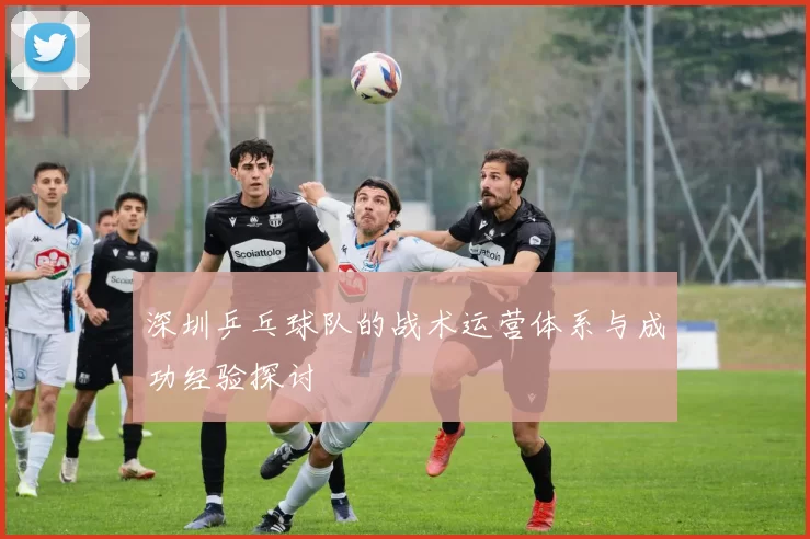 深圳乒乓球队的战术运营体系与成功经验探讨