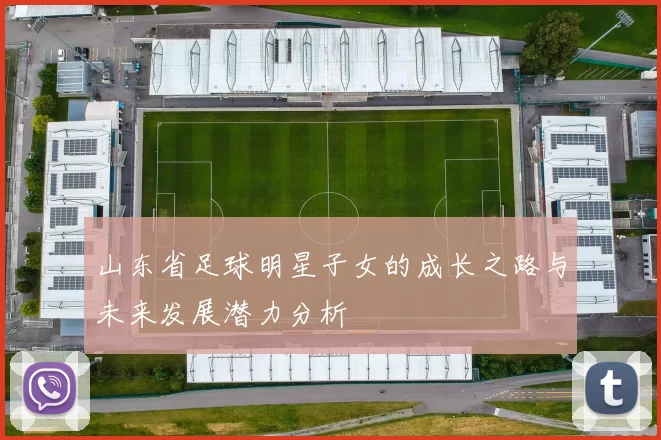 山东省足球明星子女的成长之路与未来发展潜力分析