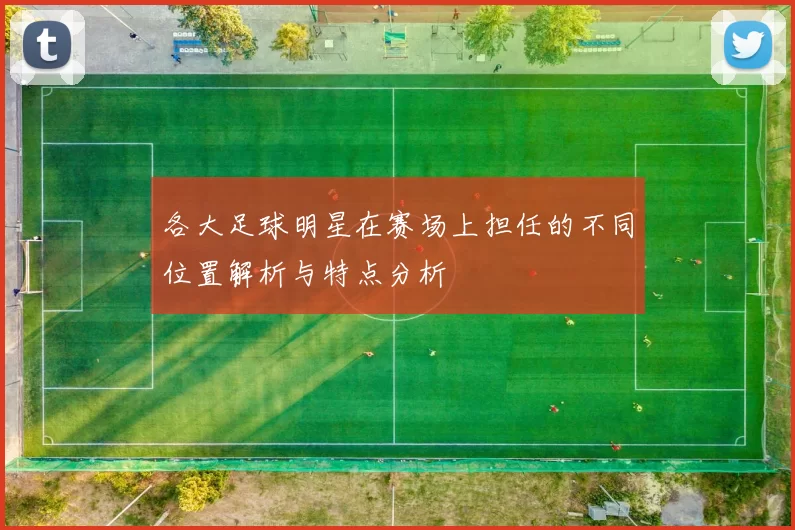 各大足球明星在赛场上担任的不同位置解析与特点分析