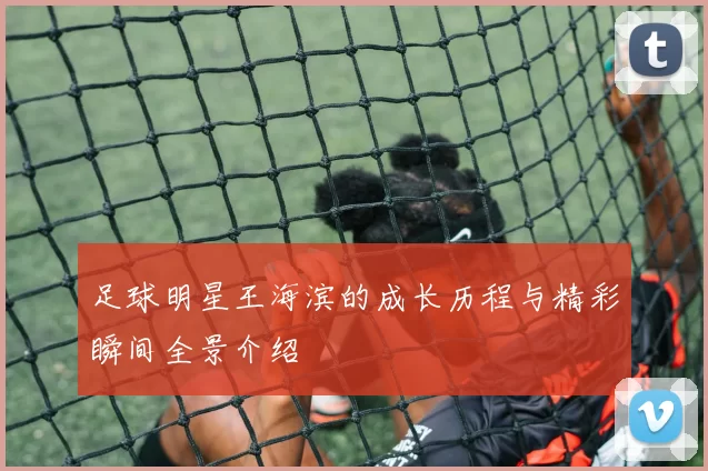 足球明星王海滨的成长历程与精彩瞬间全景介绍