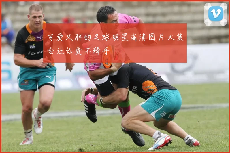 可爱又胖的足球明星高清图片大集合让你爱不释手
