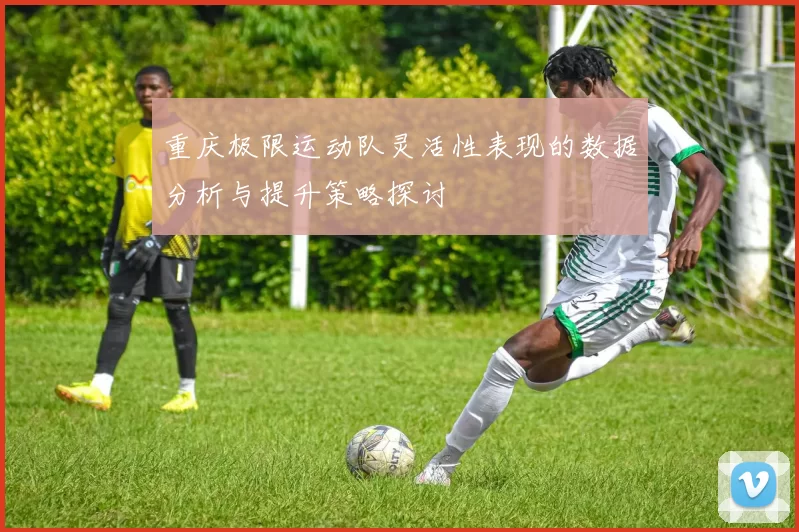 重庆极限运动队灵活性表现的数据分析与提升策略探讨