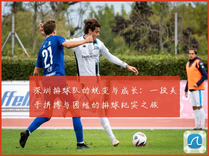 深圳排球队的蜕变与成长：一段关于拼搏与团结的排球纪实之旅