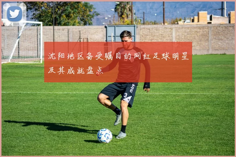 沈阳地区备受瞩目的网红足球明星及其成就盘点