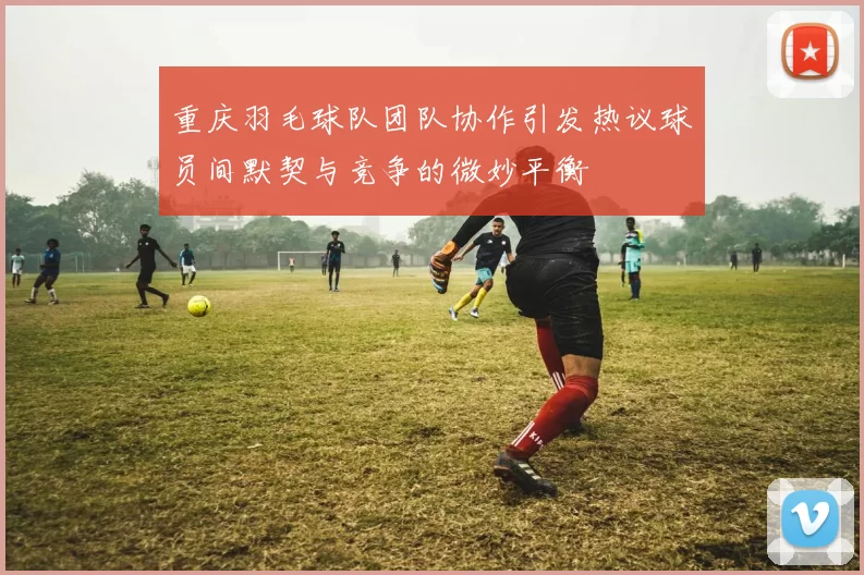 重庆羽毛球队团队协作引发热议球员间默契与竞争的微妙平衡