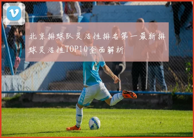 北京排球队灵活性排名第一最新排球灵活性TOP10全面解析