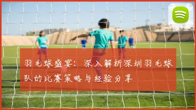 羽毛球盛宴：深入解析深圳羽毛球队的比赛策略与经验分享