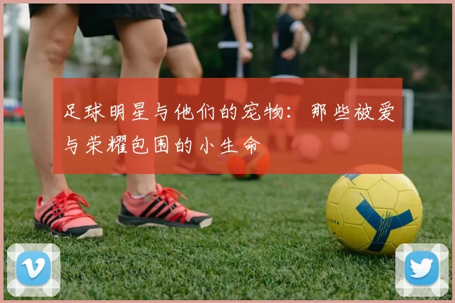 足球明星与他们的宠物：那些被爱与荣耀包围的小生命