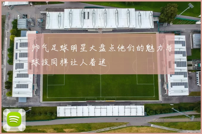 帅气足球明星大盘点他们的魅力与球技同样让人着迷