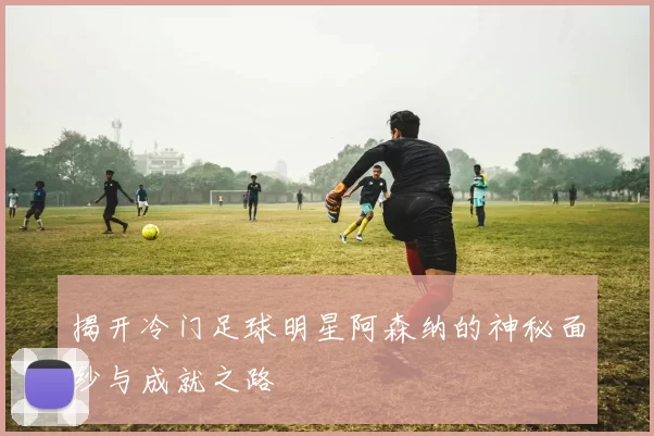 揭开冷门足球明星阿森纳的神秘面纱与成就之路