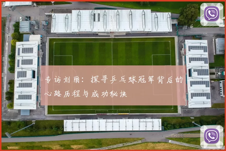 专访刘丽：探寻乒乓球冠军背后的心路历程与成功秘诀