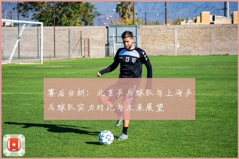 赛后分析：北京乒乓球队与上海乒乓球队实力对比与未来展望