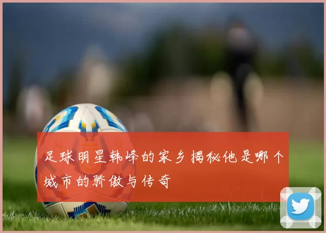 足球明星韩峰的家乡揭秘他是哪个城市的骄傲与传奇