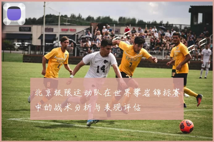 北京极限运动队在世界攀岩锦标赛中的战术分析与表现评估