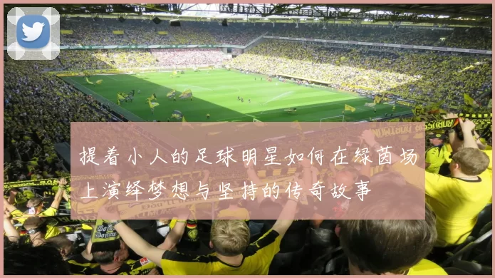 提着小人的足球明星如何在绿茵场上演绎梦想与坚持的传奇故事