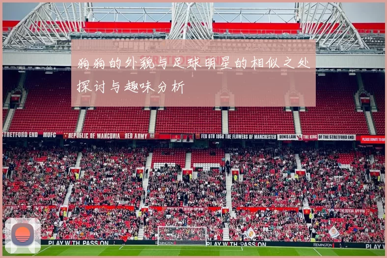 狗狗的外貌与足球明星的相似之处探讨与趣味分析