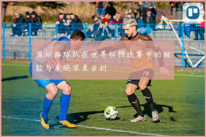 深圳排球队在世界杯预选赛中的经验与表现深度分析