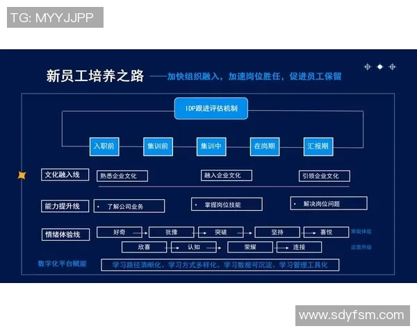 基于个人兴趣与技能提升的全方位自主项目实践与探索路径分析