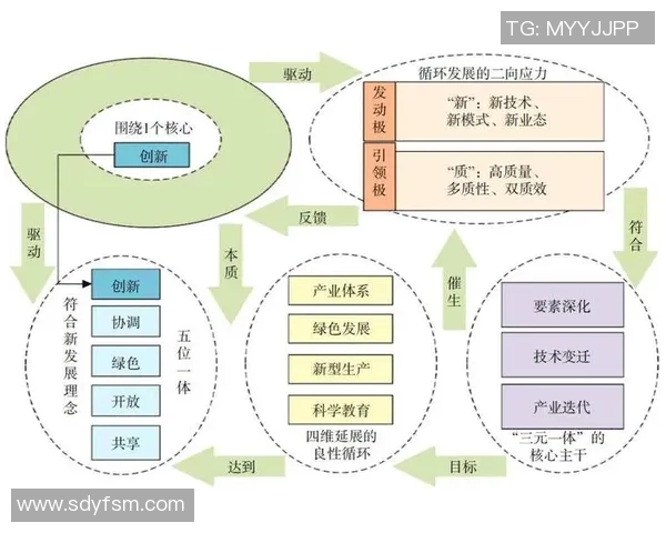 提升企业竞争力与创新能力的关键策略与实施路径分析
