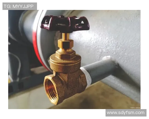 水管阀门在家庭管道系统中的关键作用与常见故障排除方法解析