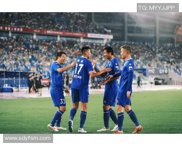 南京足球队战术解析与未来发展方向的深度探讨