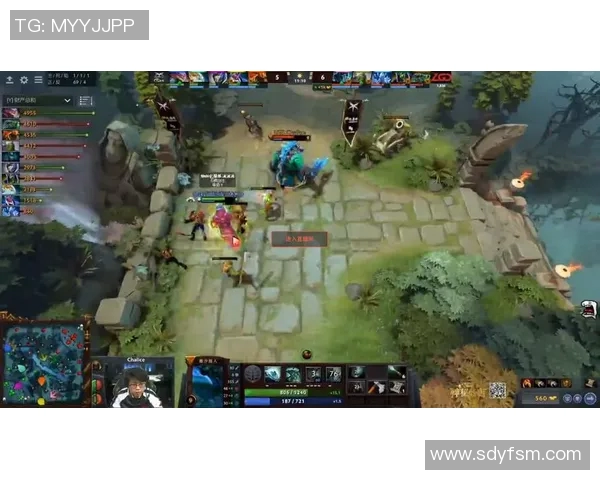 LNG在DOTA2比赛中的区域防守策略分析与成效评估 LNG在DOTA2比赛中的区域防守策略分析与成效评估