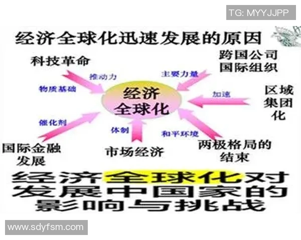以全球化视野推动多国经济合作探索创新联盟模式助力可持续发展