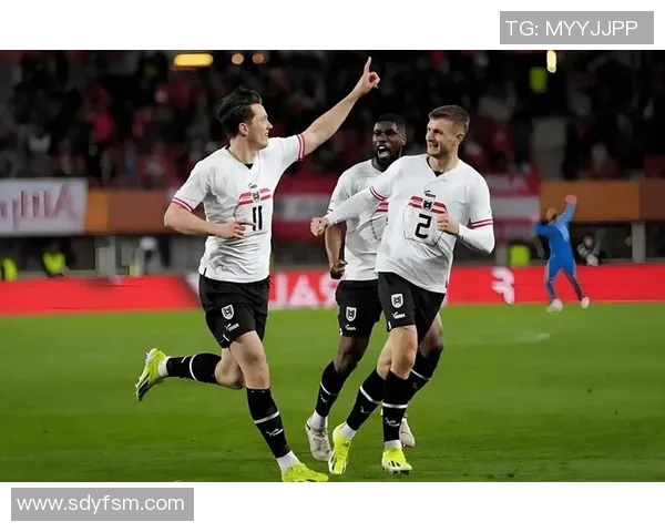 2014世界杯波黑与伊朗激战回顾两队精彩表现与历史交锋分析